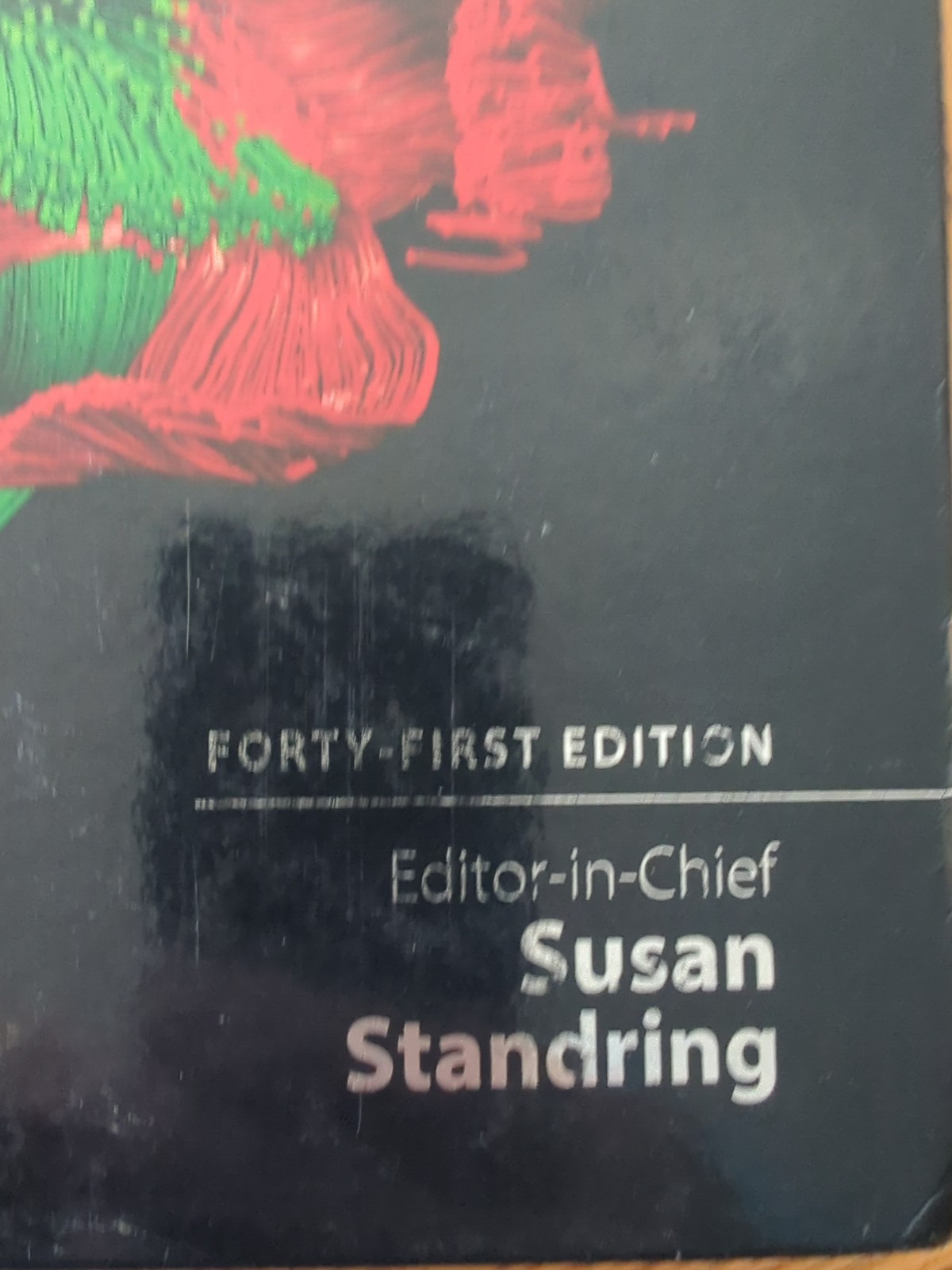 Gray’s Anatomy Ser.: Gray’s Anatomy : The Anatomical Basis of Clinical Practice