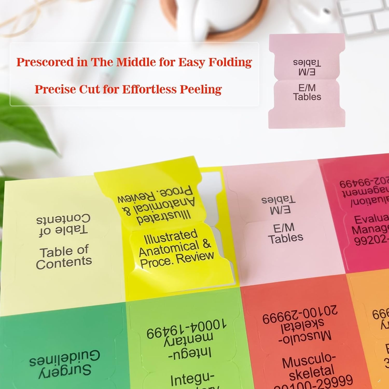 Efficient Study Aid: CPT HCPCS 2026 Tabs Bundle