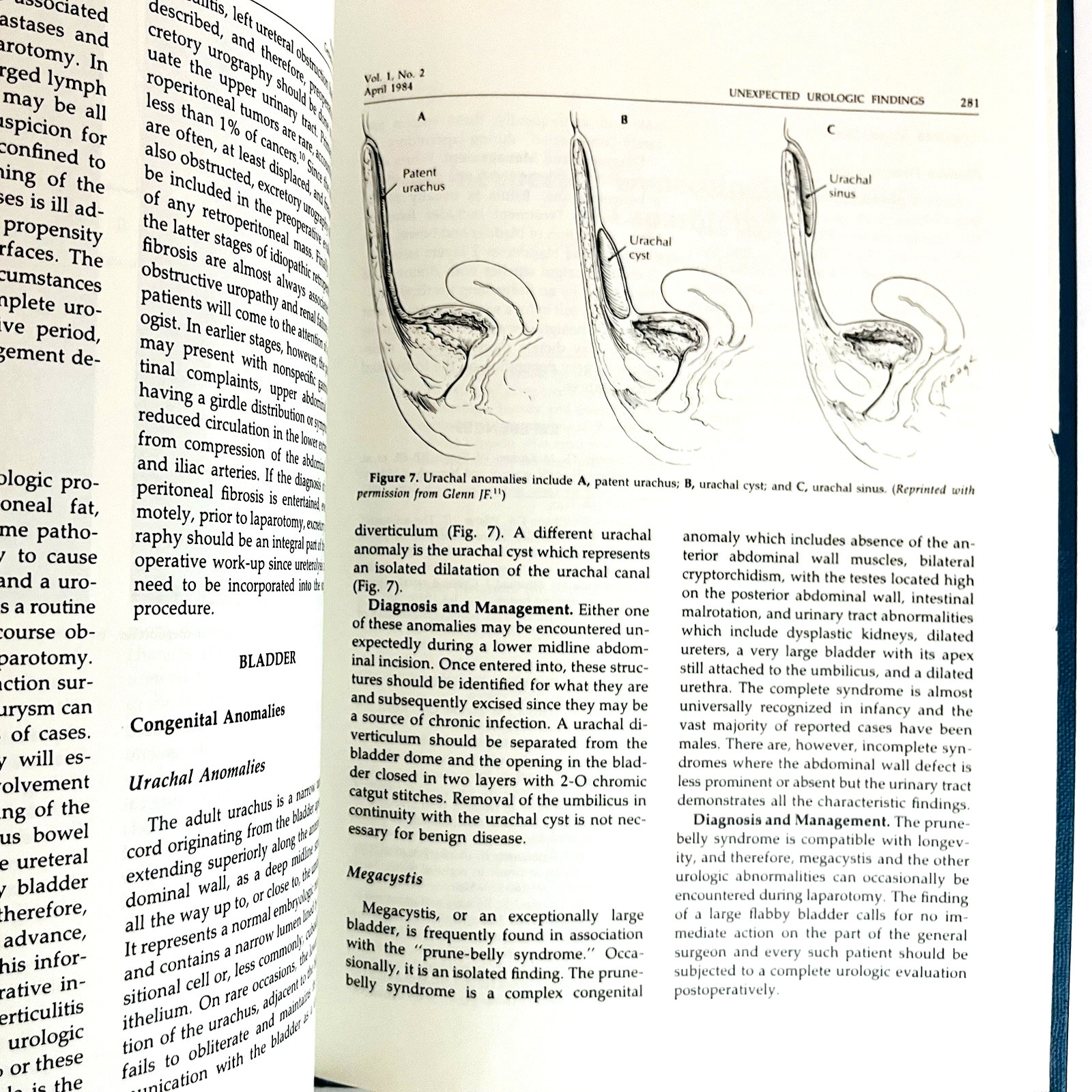 Difficult Surgical Infections Problems in General Surgery Lot of 4 Books 1984