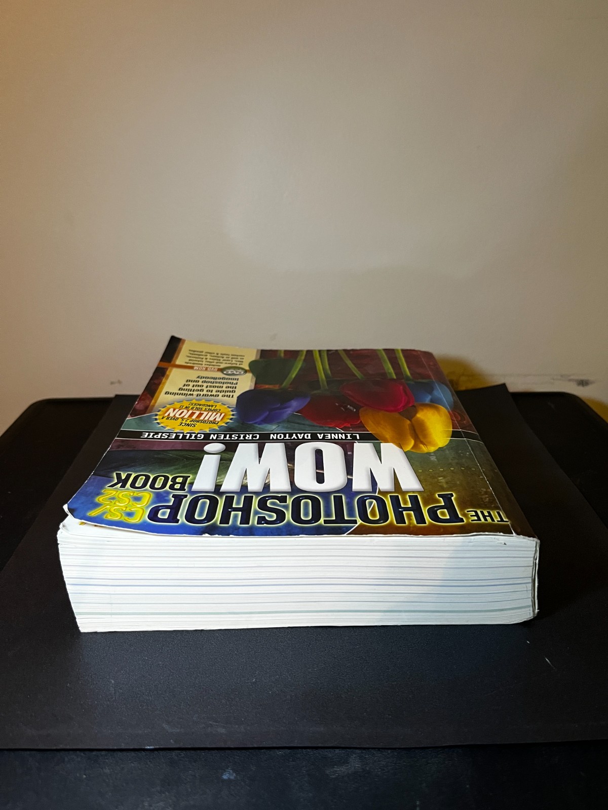 Photoshop CS / CS2 Wow! Book by Dayton, Linnea , LARGE PB (No DVD Included)