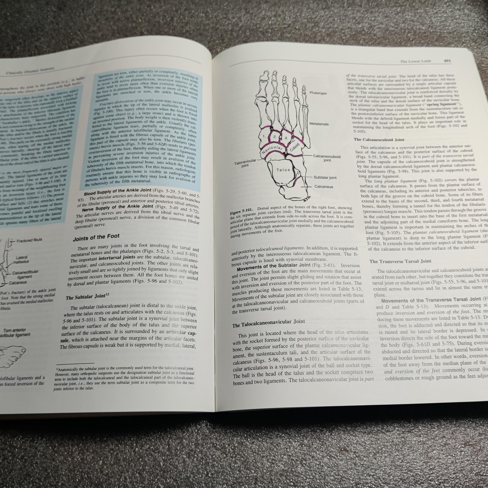 Vintage Clinically Oriented Anatomy Textbook Moore 3rd Ed 1992 Hardcover