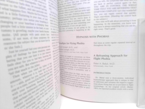 Handbook of Hypnotic Suggestions and Metaphors by Hammond, D. Corydon