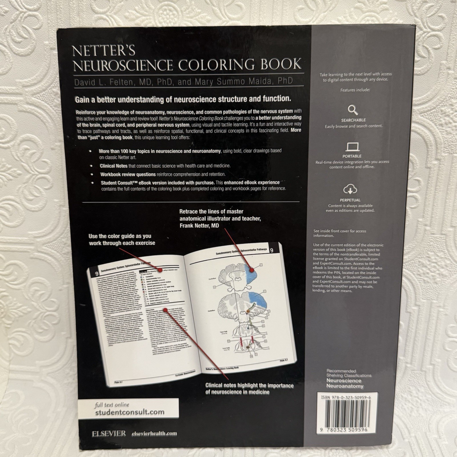 Netter Basic Science Ser.: Netter’s Neuroscience Coloring Book by Mary Summo…