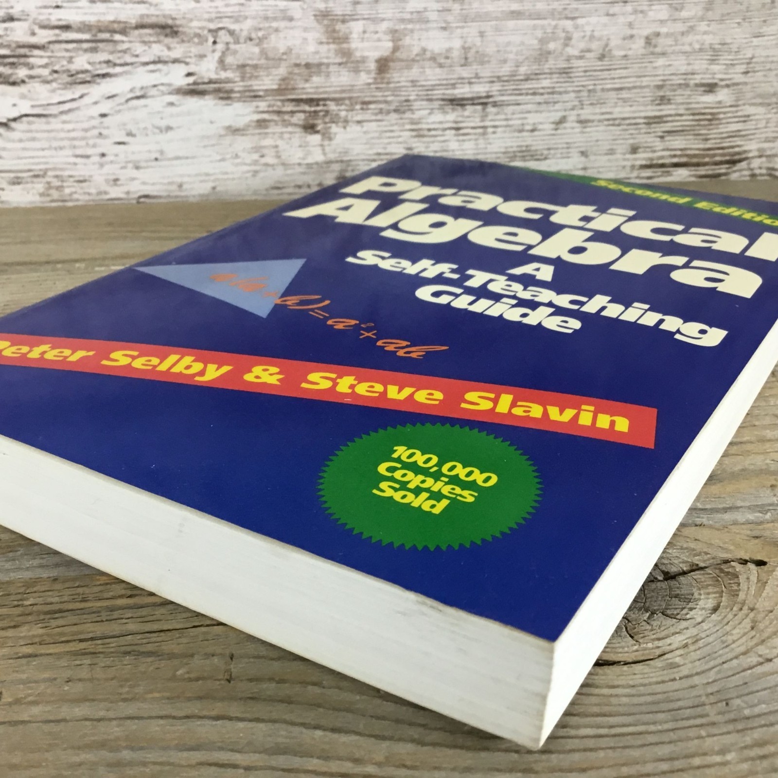 Practical Algebra A Self-Teaching Guide Second Edition Paperback 1991