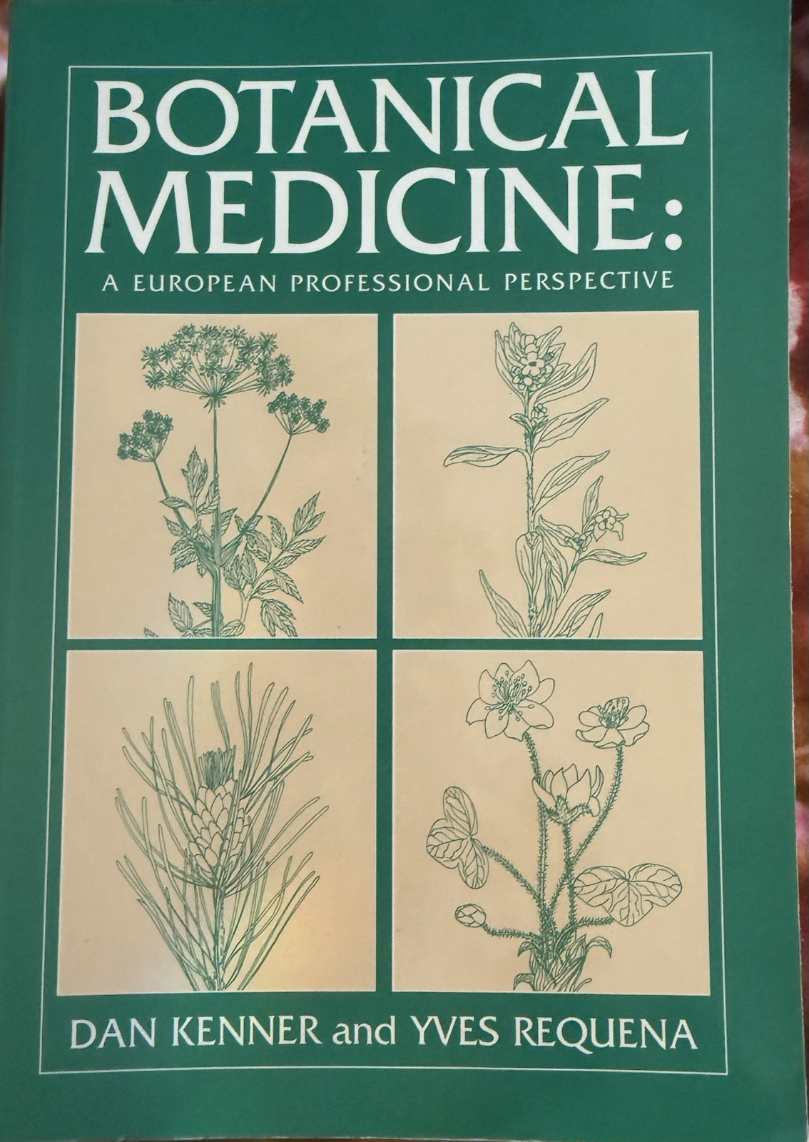 Botanical Medicine : A European Professional 1995, Paperback