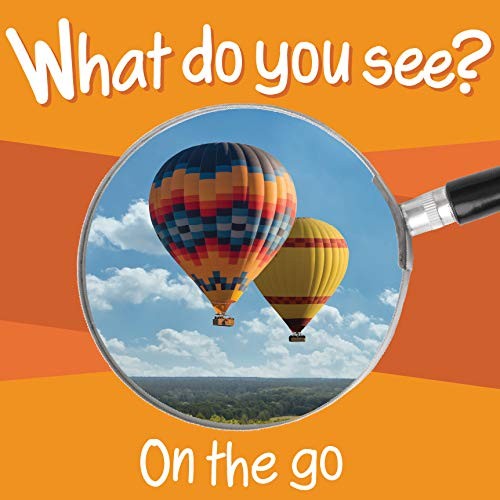 What Do You See: On the Go – board book Chosen Spot Publishing|Paige Satterl…