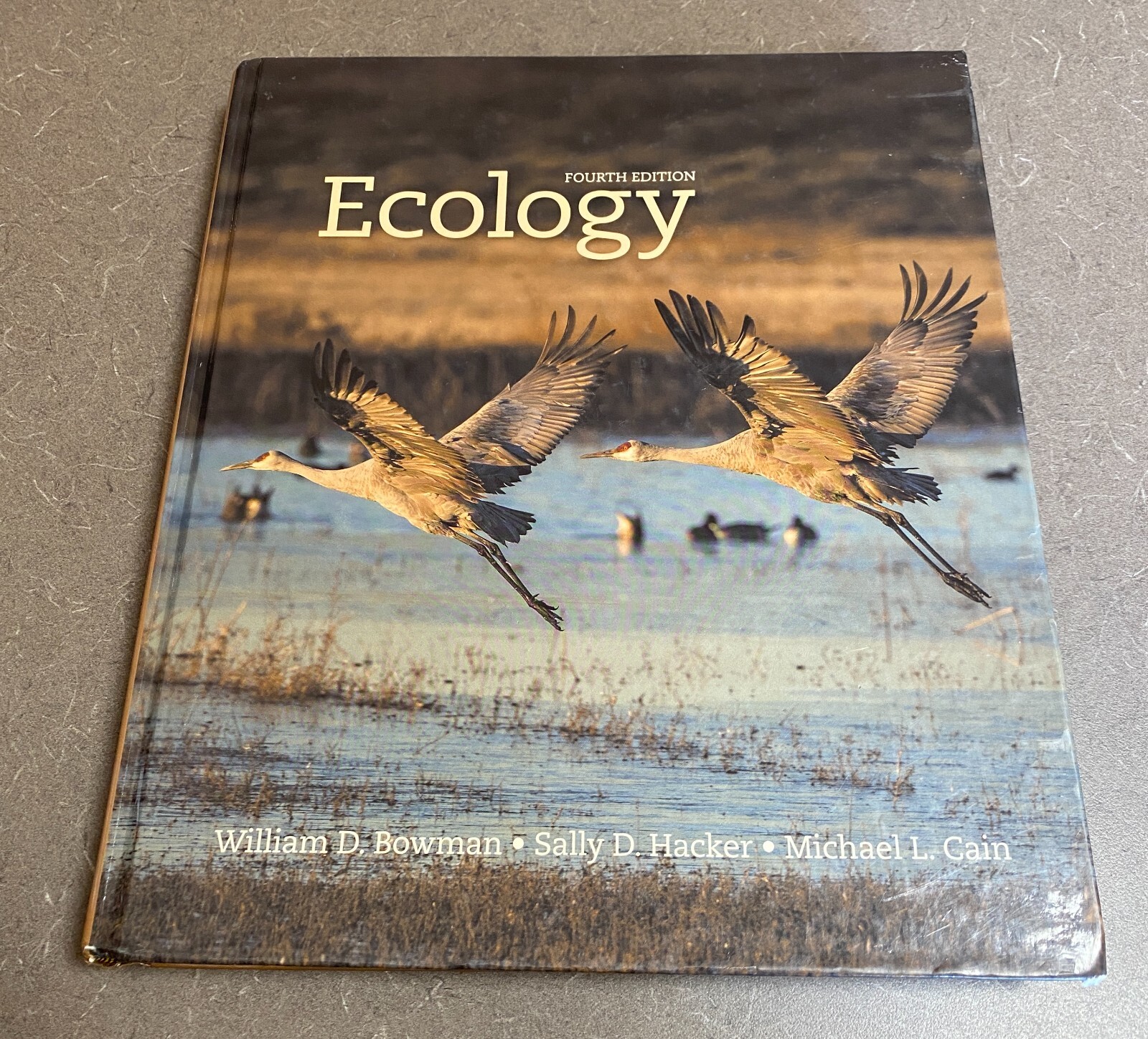 Ecology by Sally D. Hacker, William D. Bowman and Michael L. Cain (2017,…