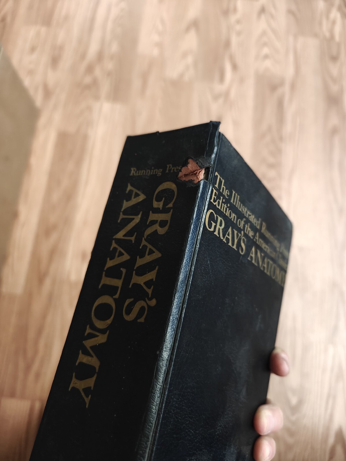 The Illustrated Running Press Edition Of The American Classic Grays Anatomy 1974