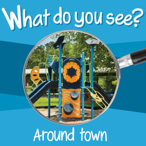What Do You See: Around Town – Board book By Chosen Spot Publishing – ACCEPTABLE