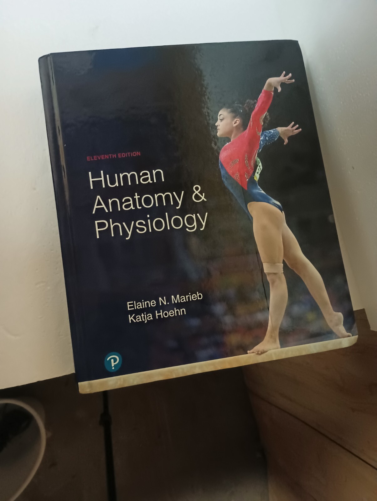 Human Anatomy and Physiology by Katja Hoehn and Elaine Marieb (2018, Hardcover)