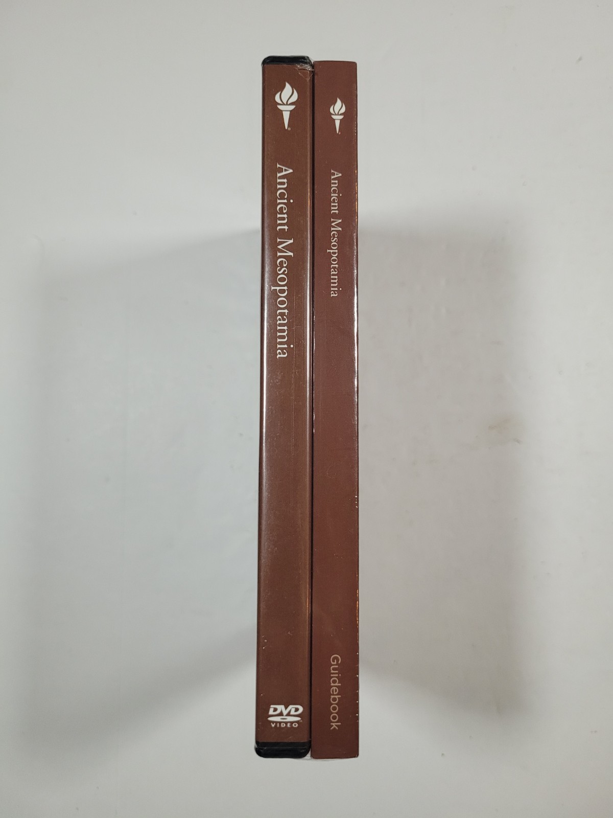 THE GREAT COURSES – ANCIENT MESOPOTAMIA – 2018 – PODANY – DVD/BOOK – NEW SEALED