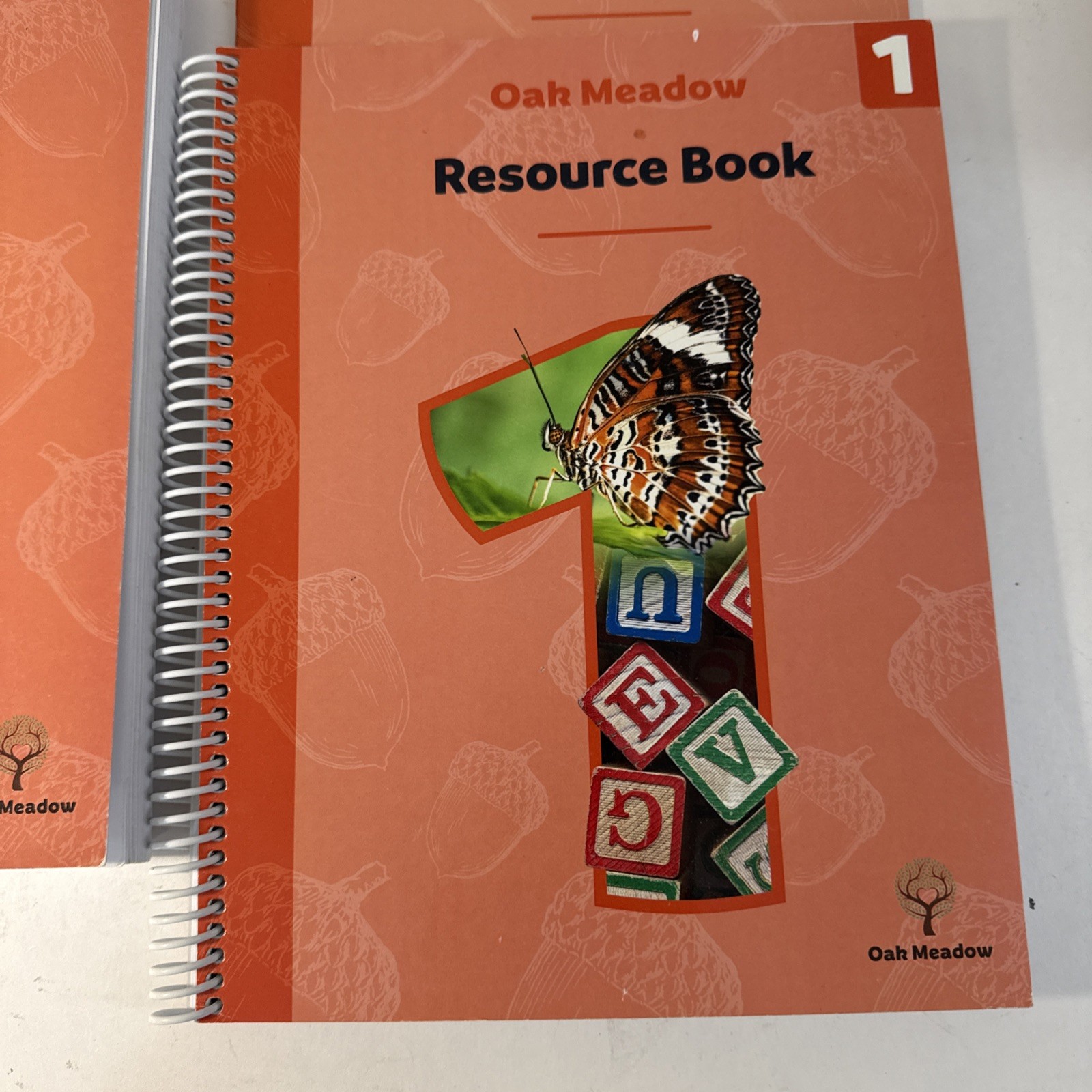 Oak Meadow Grade 1, (2020), Coursebook, Resource Book, & Recorder