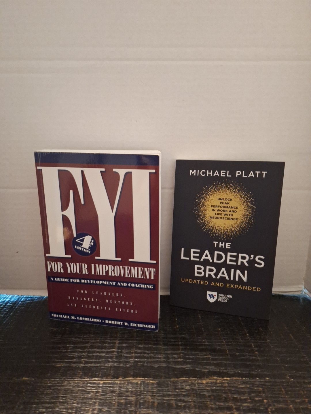 FYI For Your Improvement 4th Ed by Lombardo Eichinger and The Leaders Brain