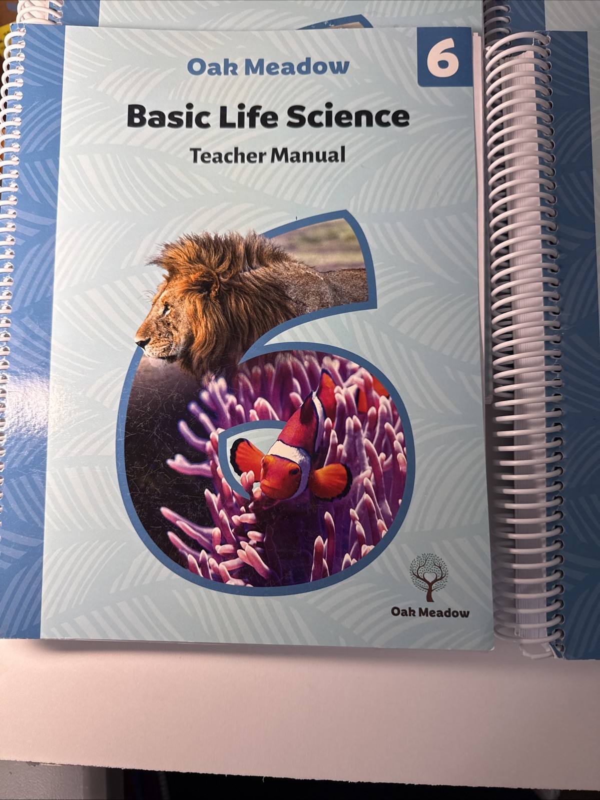 Oak Meadow Grade 6, Coursebooks & Teacher Manuals (2019)