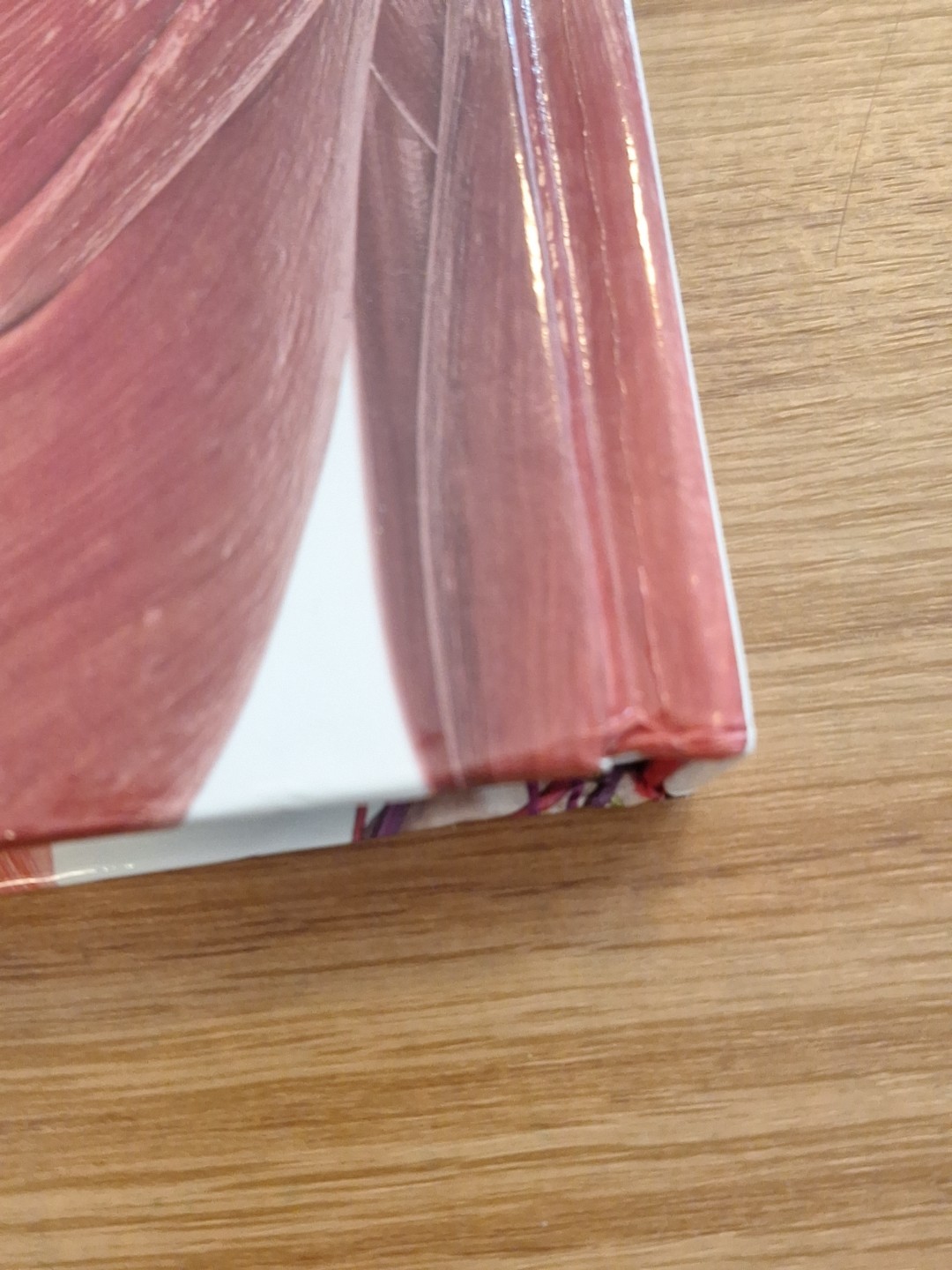The Human Body Book w/DVD-Rom & Dust Jacket – First American Edition 2007