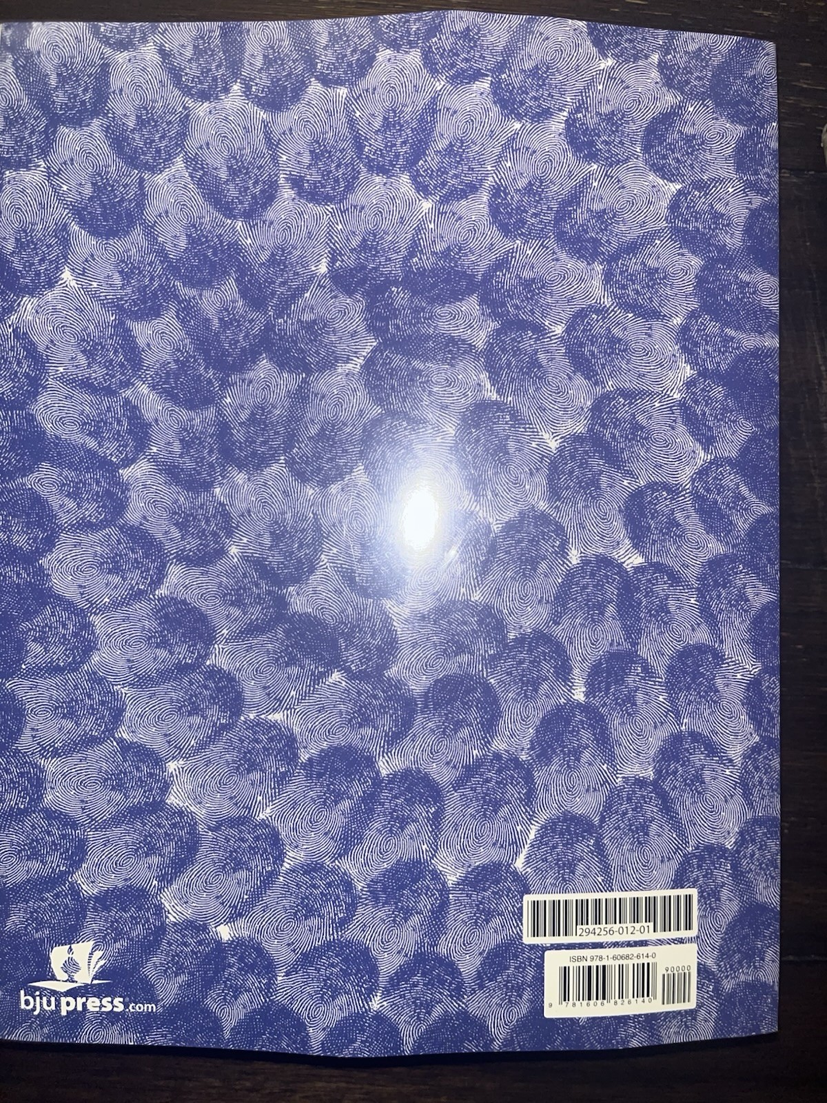 Reading 2 Worktext from BJU Press 3rd Edition 2015 TPB Elementary Homeschooling