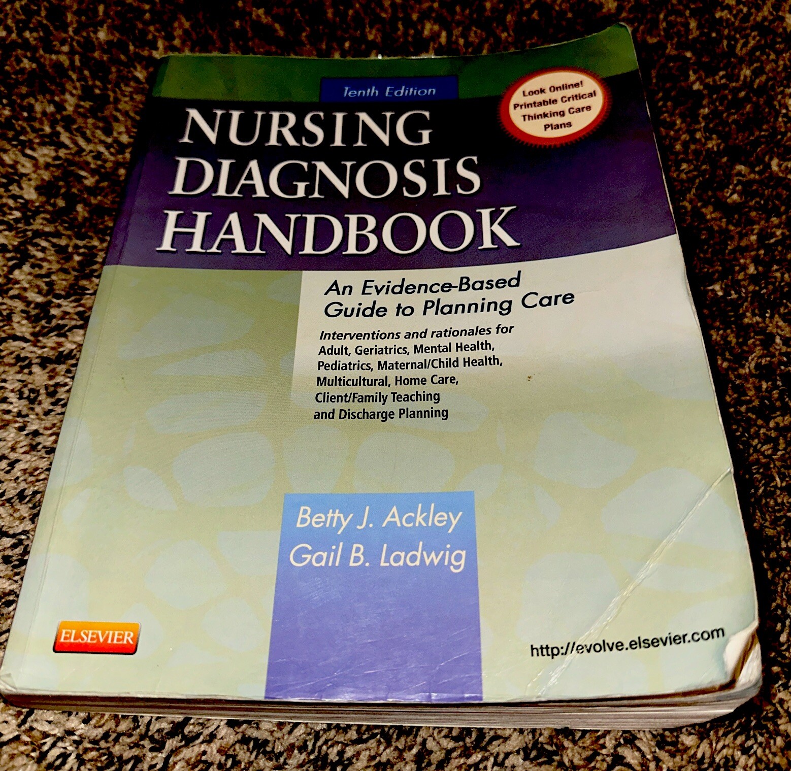 Nursing Diagnosis Handbook : An Evidence-Based Guide to Planning Care by Gail B.