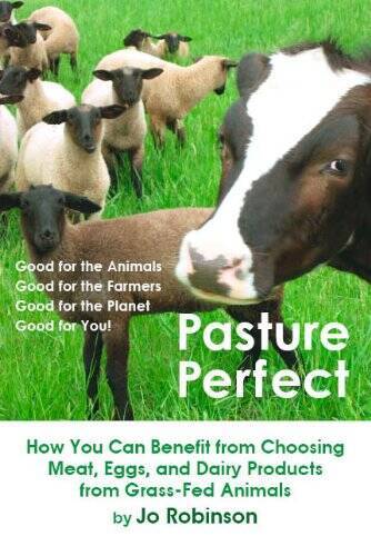 Pasture Perfect: How You Can Benefit from Choosing Meat, Eggs, and Dairy – GOOD