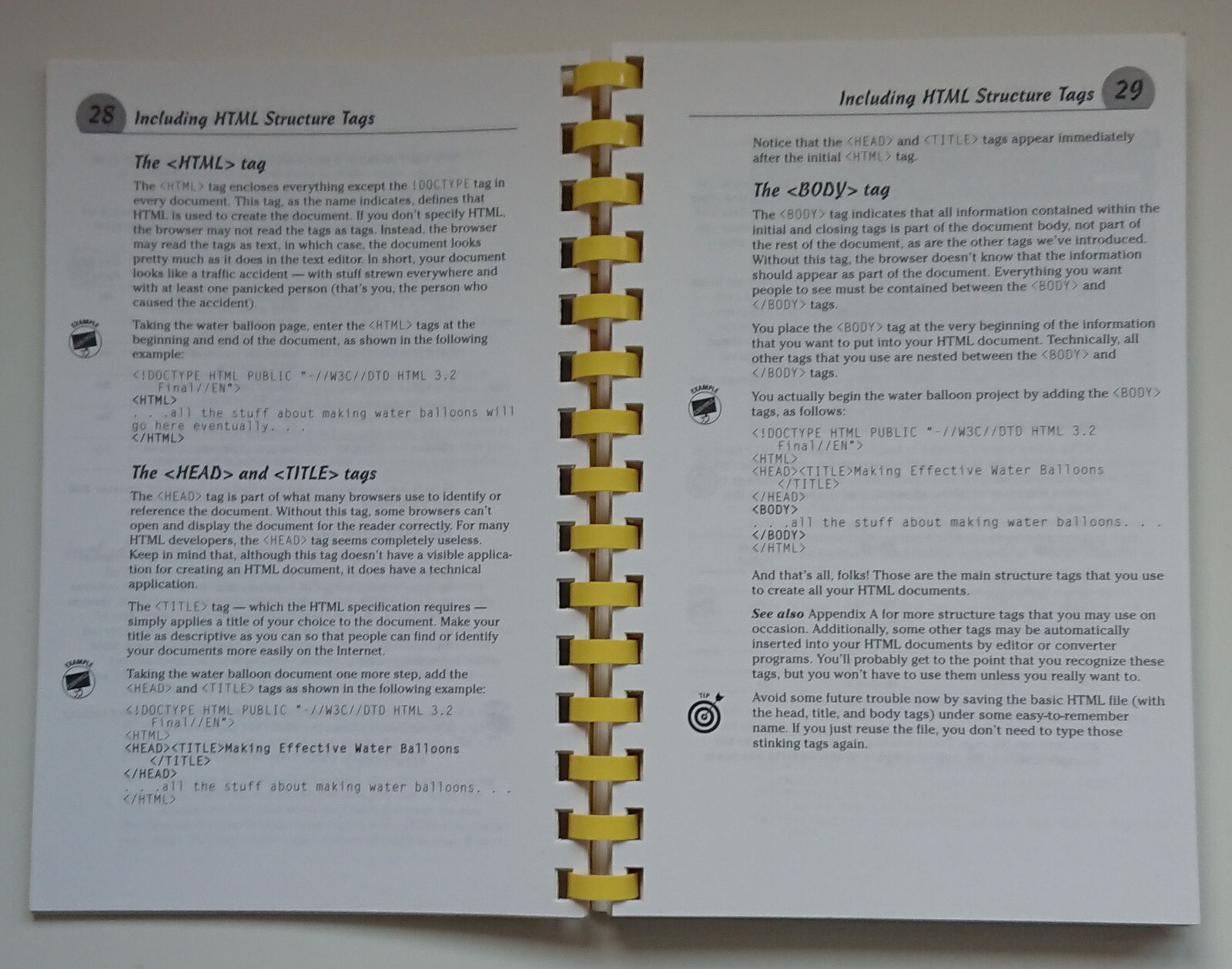 Vintage Book – Computing – HTML For Dummies – IDG Books – D. S. Ray & E. J. Ray