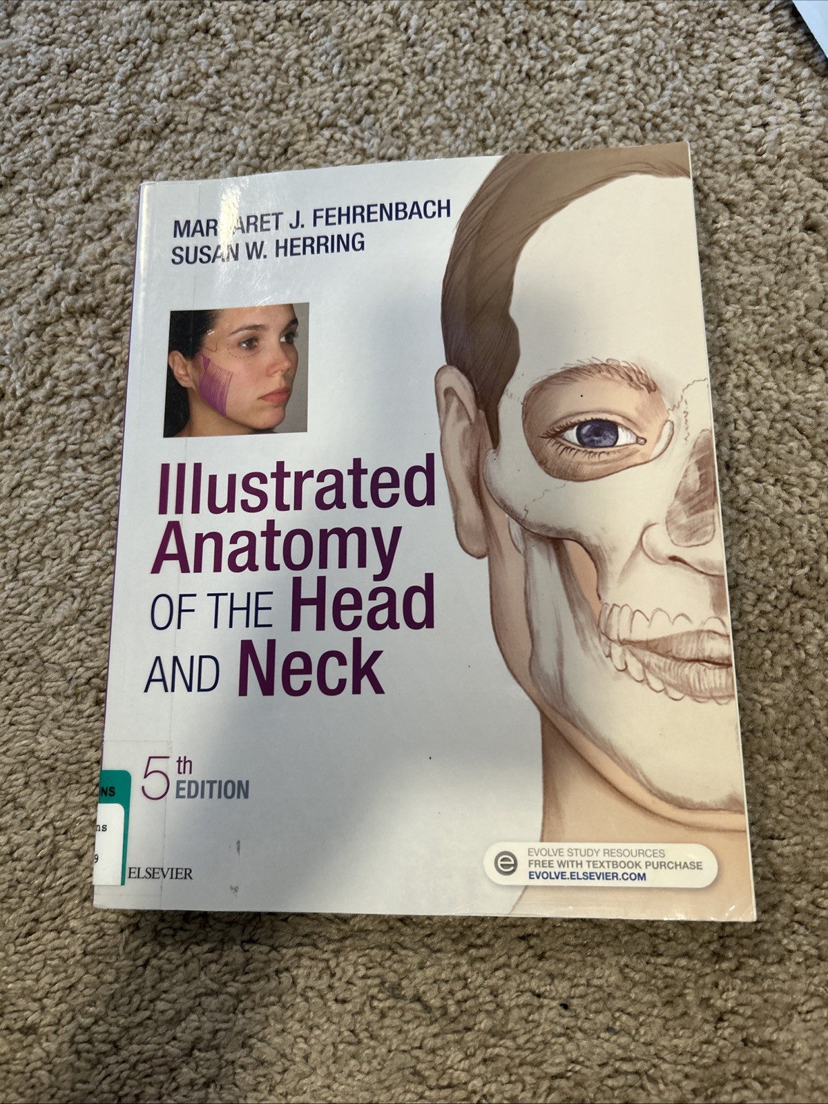 Illustrated Anatomy of the Head and Neck by Margaret J. Fehrenbach and Susan W.