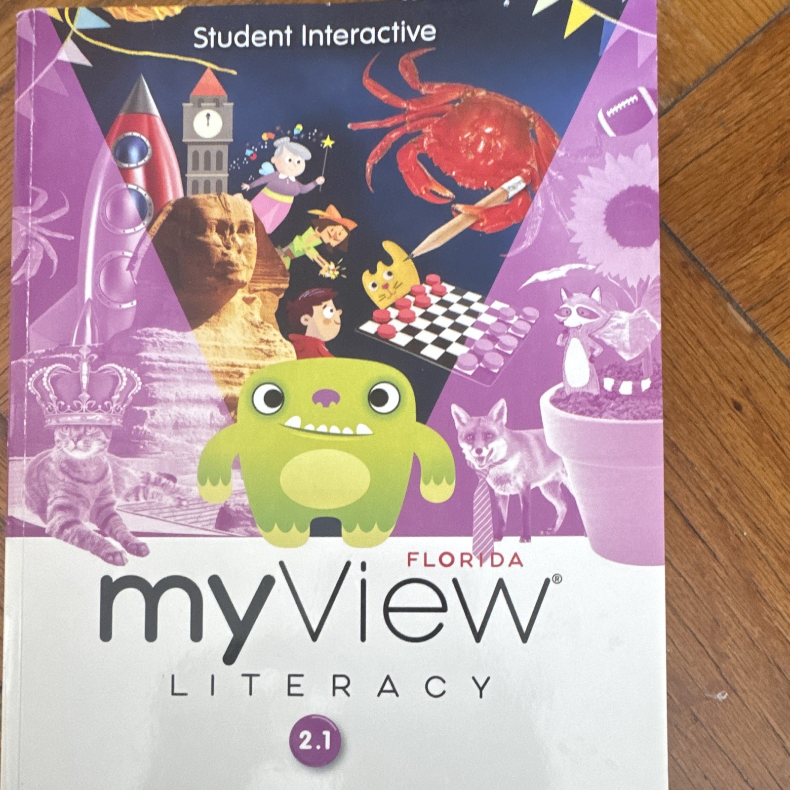 myView Literacy Student Interactive Florida 2.1 Book Textbook English Literacy