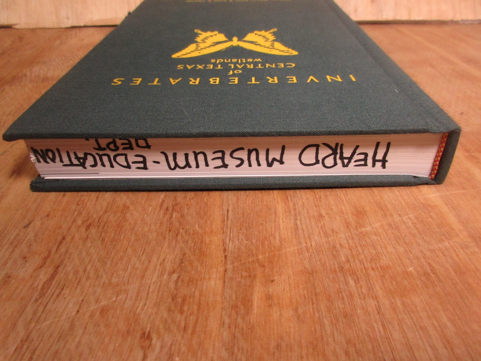 INVERTEBRATES OF CENTRAL TEXAS WETLANDS By Stephen Welton Taber & Scott B. Good