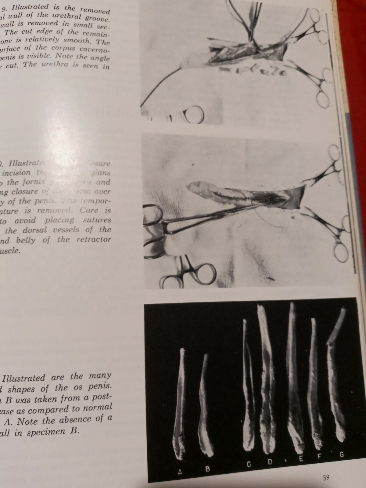 RARE : 1963 Small Animal Surgery “First Edition” hardcover book