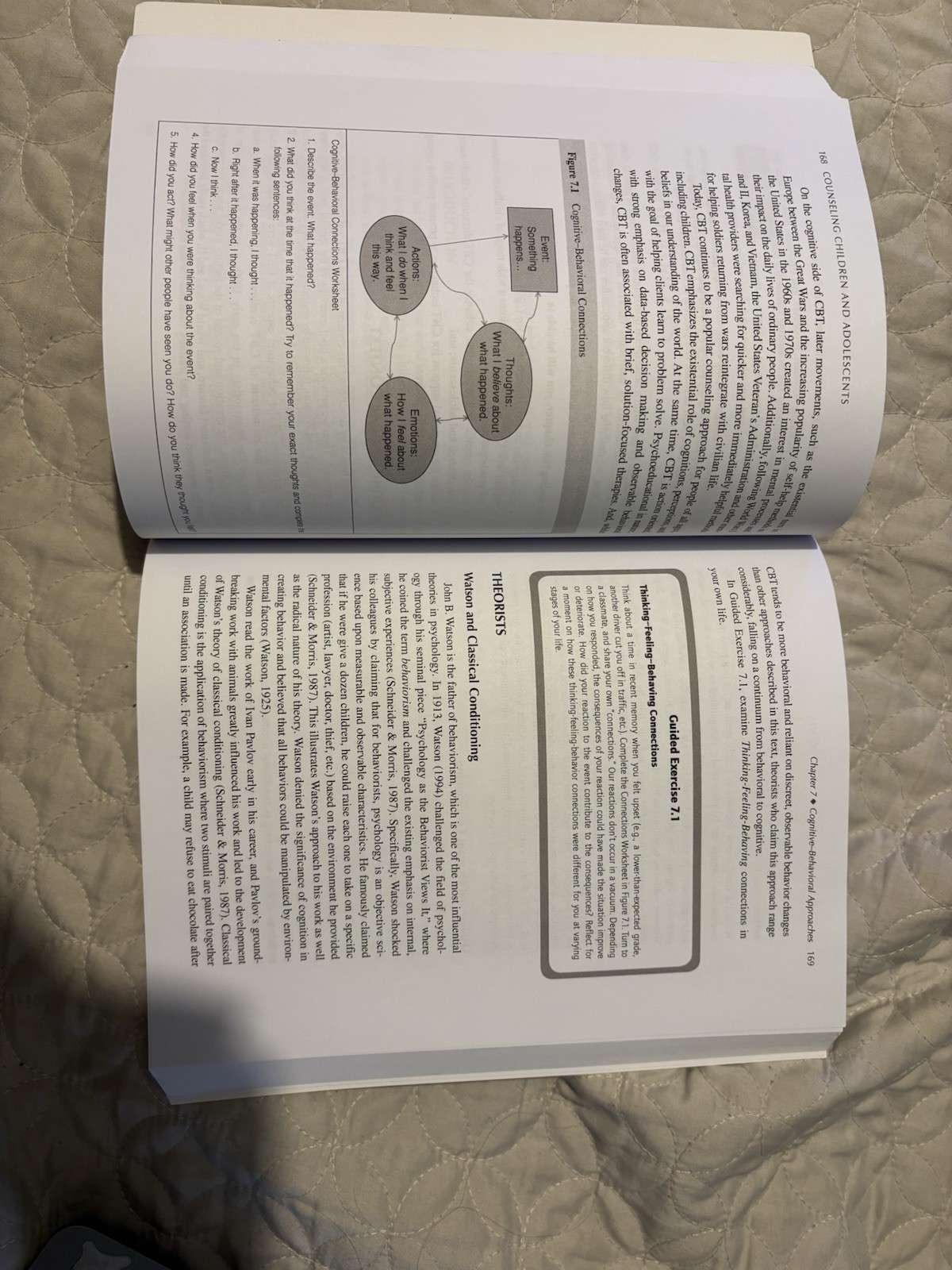 Counseling Children and Adolescents : Connecting Theory, Development, and Divers