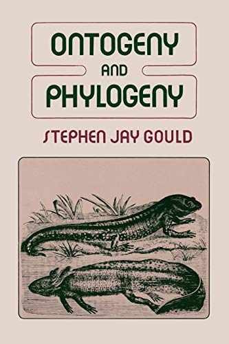 Ontogeny and Phylogeny – Paperback, by Gould Stephen Jay – Very Good