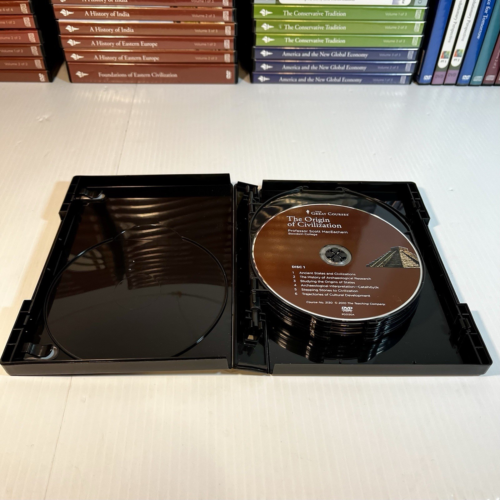 The Great Courses Lot of 39 Different Full Courses on DVDs (86 cases) Collegiate
