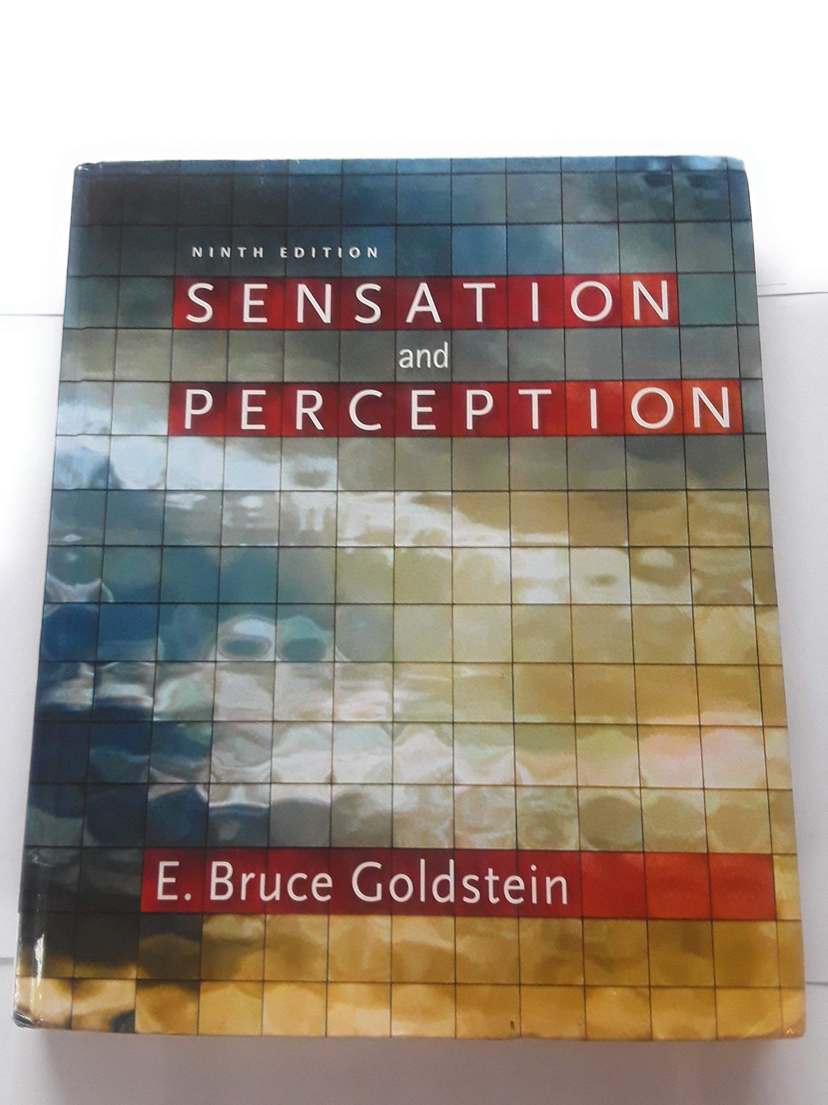 Sensation And Perceptn 9Th Edition By E. Bruce Goldstein