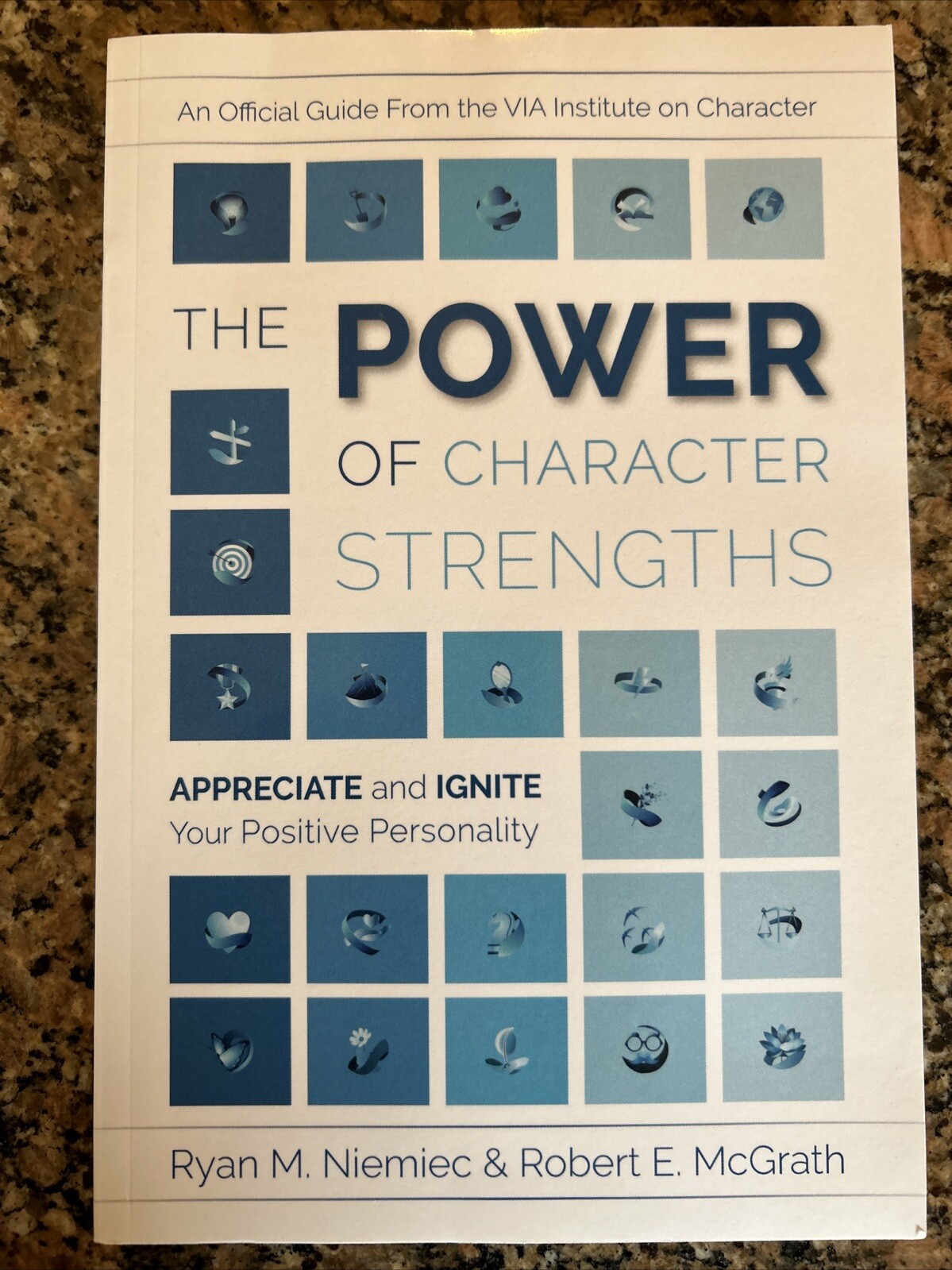The Power Of Character Strengths Ryan Niemiec & Robert McGrath Trade PB New