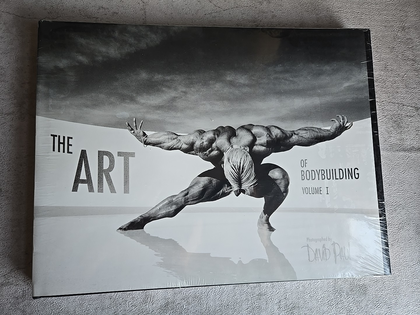 The Art of Bodybuilding Vol 1 David Paul Hardcover Brand New Sealed Book