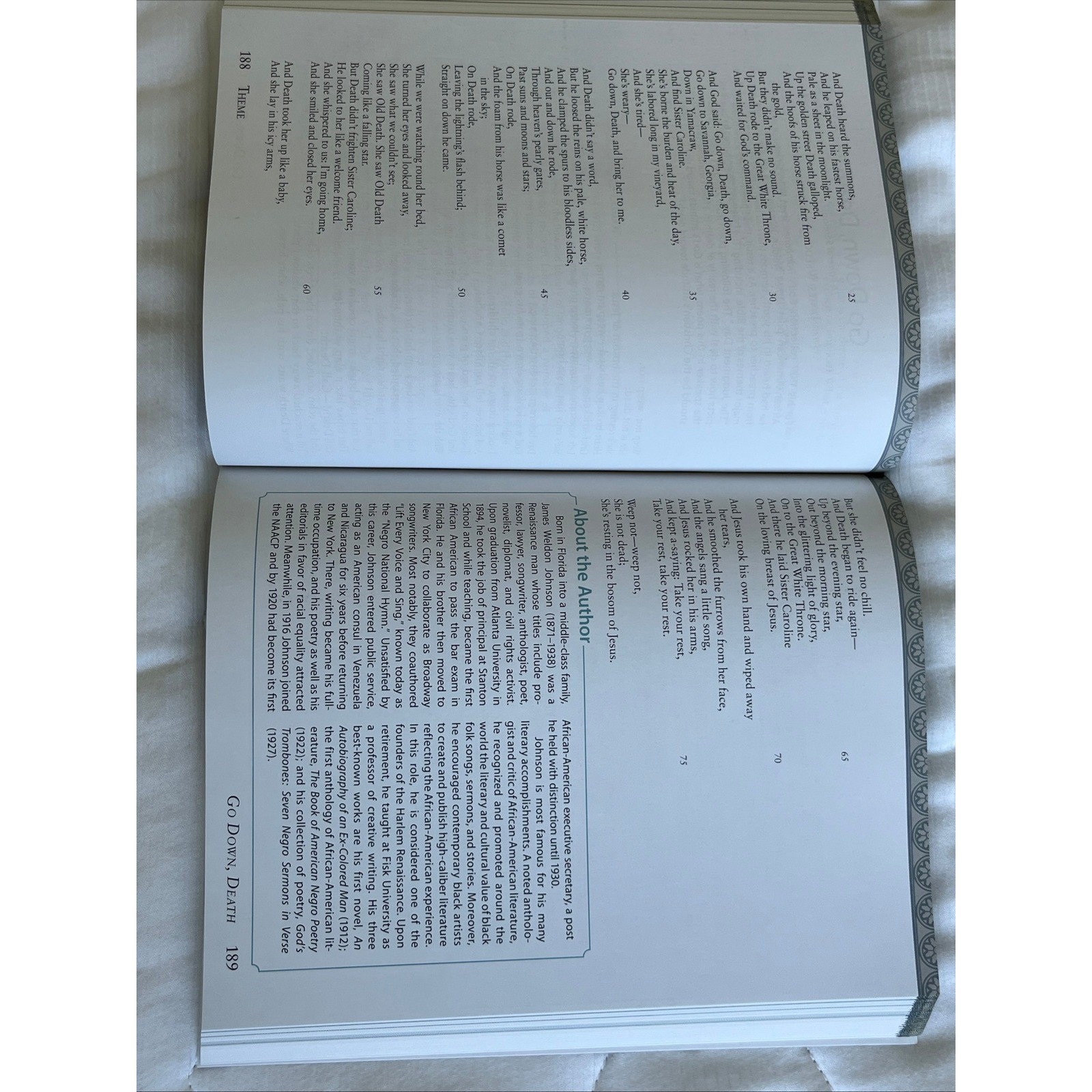 Fundamentals of Literature Second Edition BJU Press Softcover 9781628564365