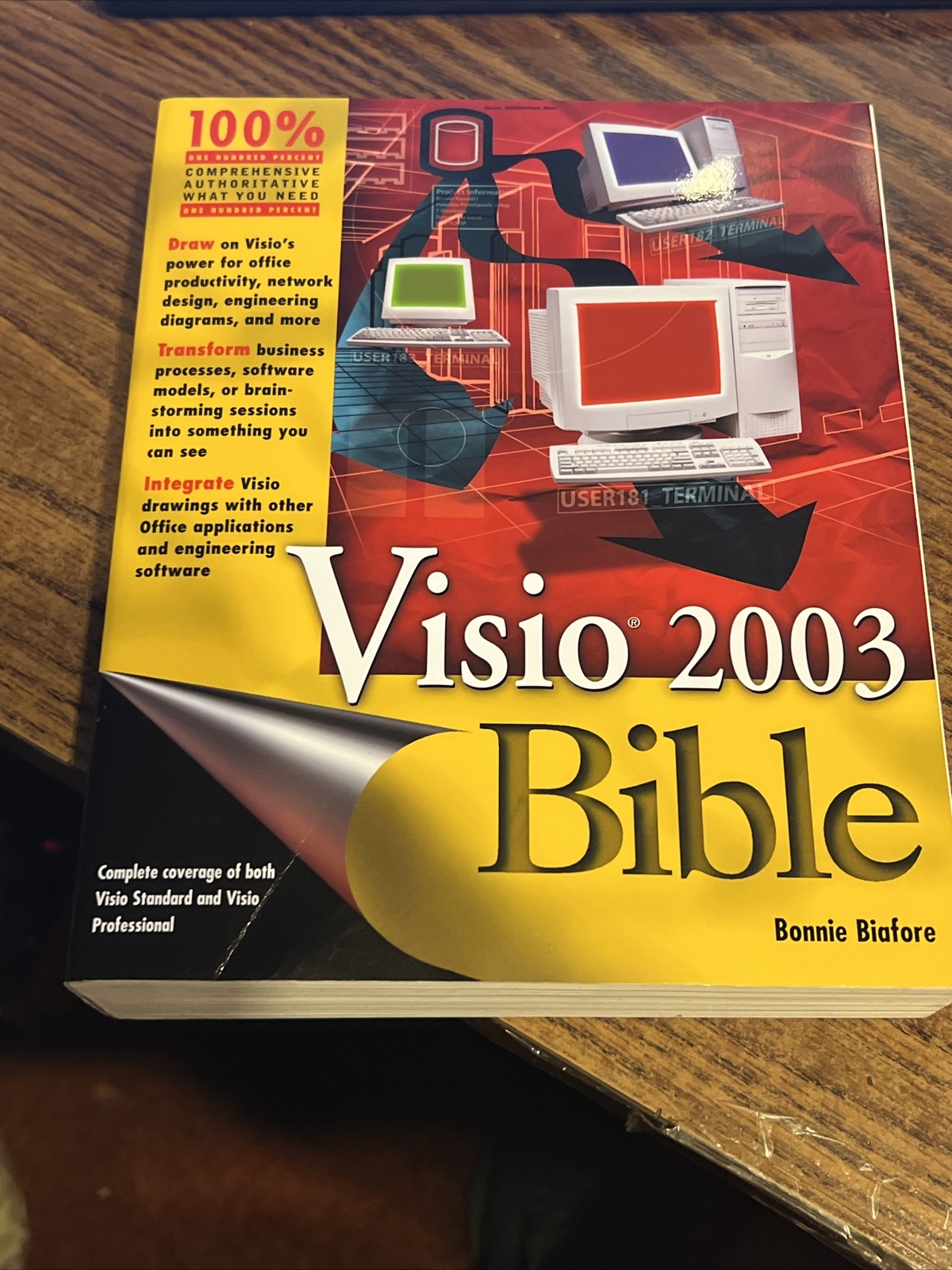 Visio 2003 Bible by Bonnie Biafore