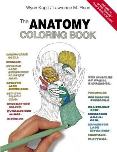 The Anatomy Coloring Book – Paperback By Kapit, Wynn – GOOD
