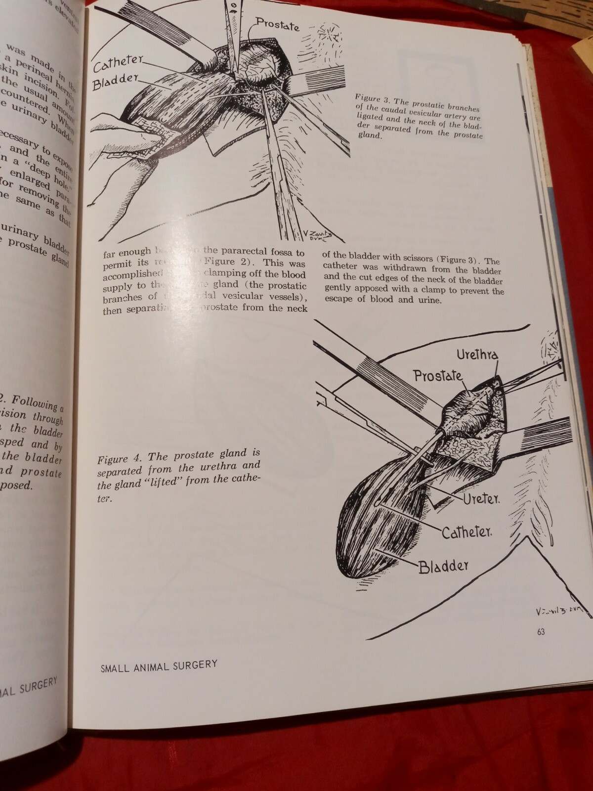 RARE : 1963 Small Animal Surgery “First Edition” hardcover book