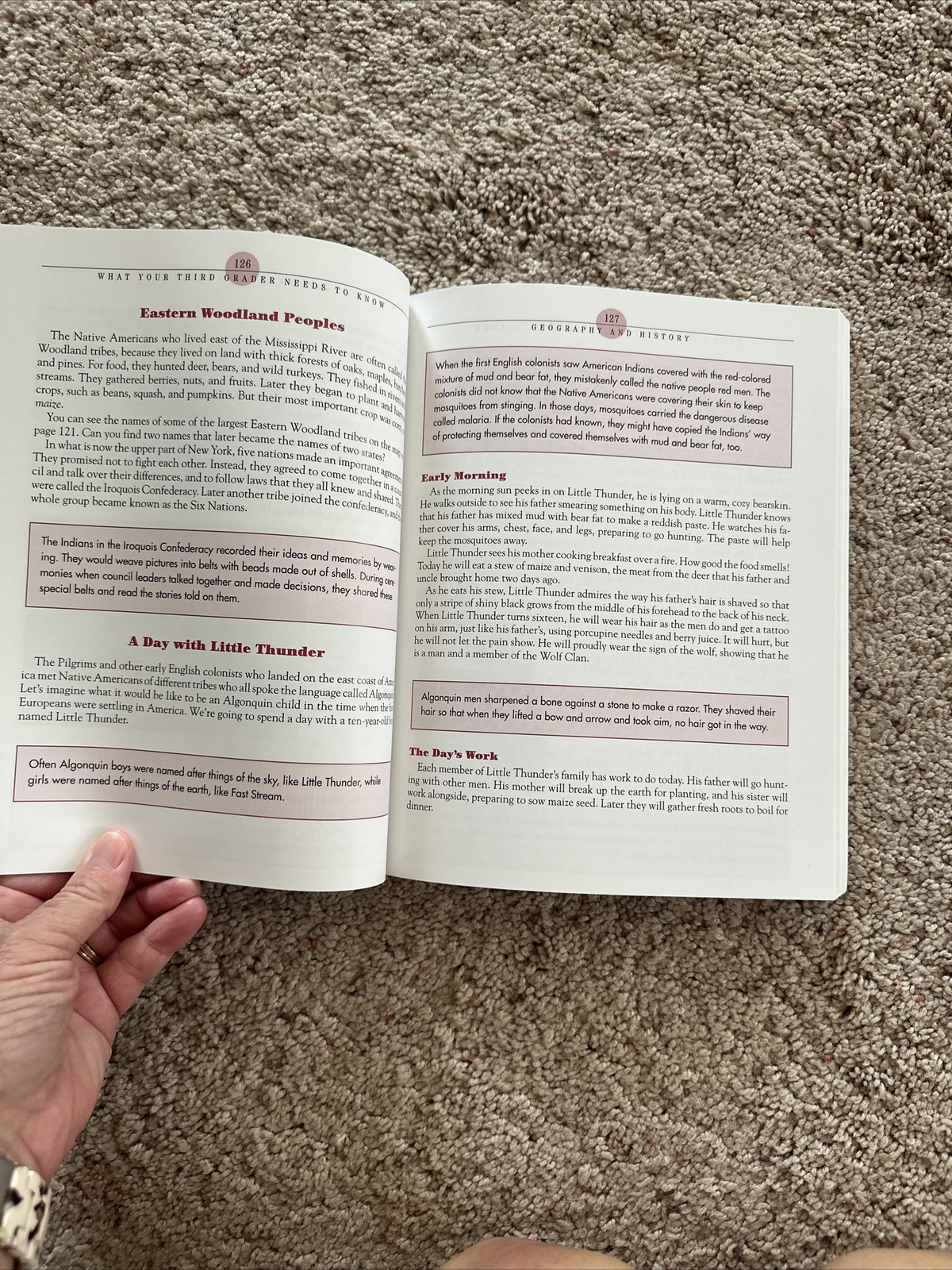 The Core Knowledge Ser.: What Your Third Grader Needs to Know (Revised Edition)