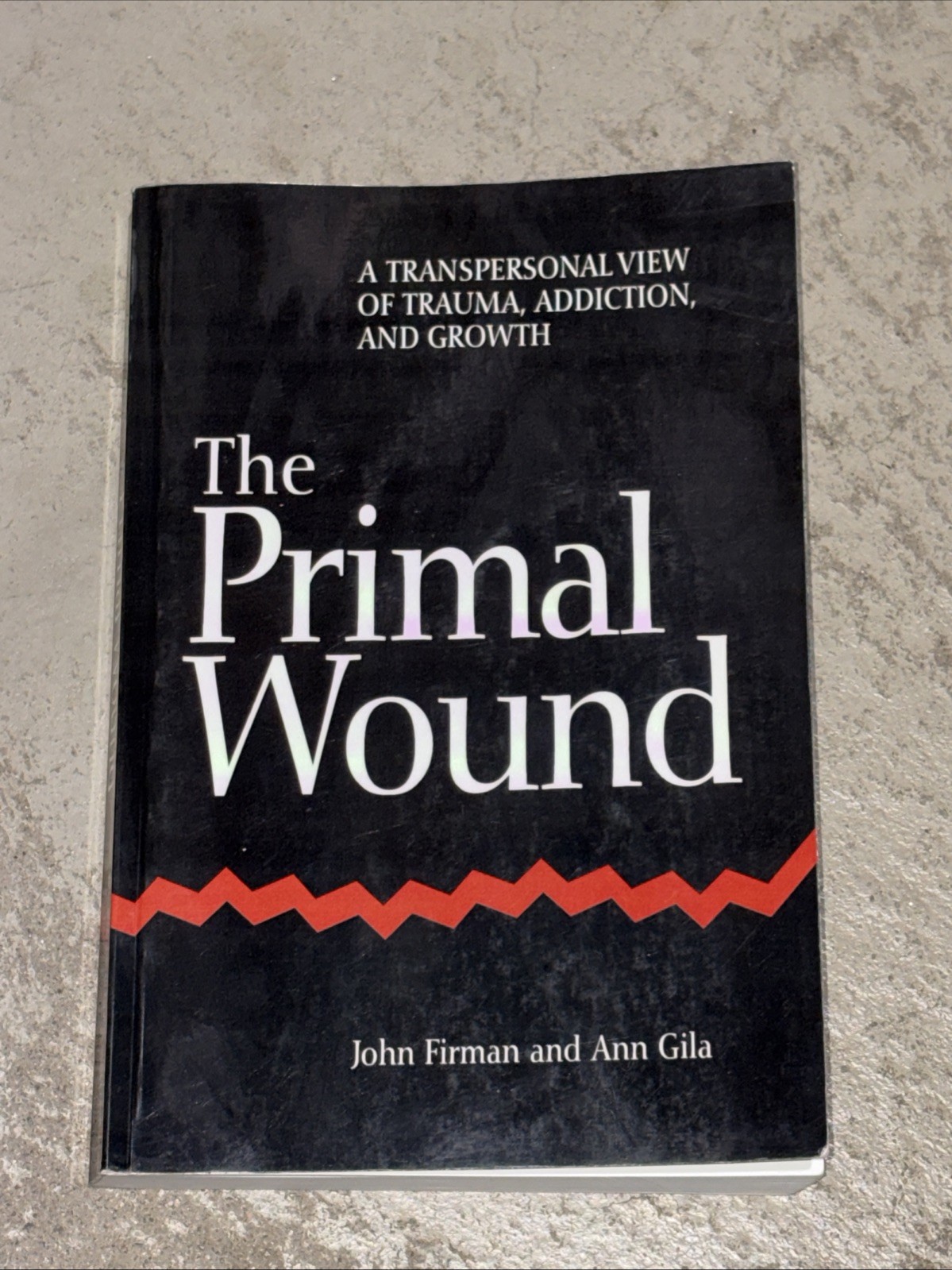 Suny Series in the Philosophy of Psychology Ser.: Primal Wound : A Transpersonal