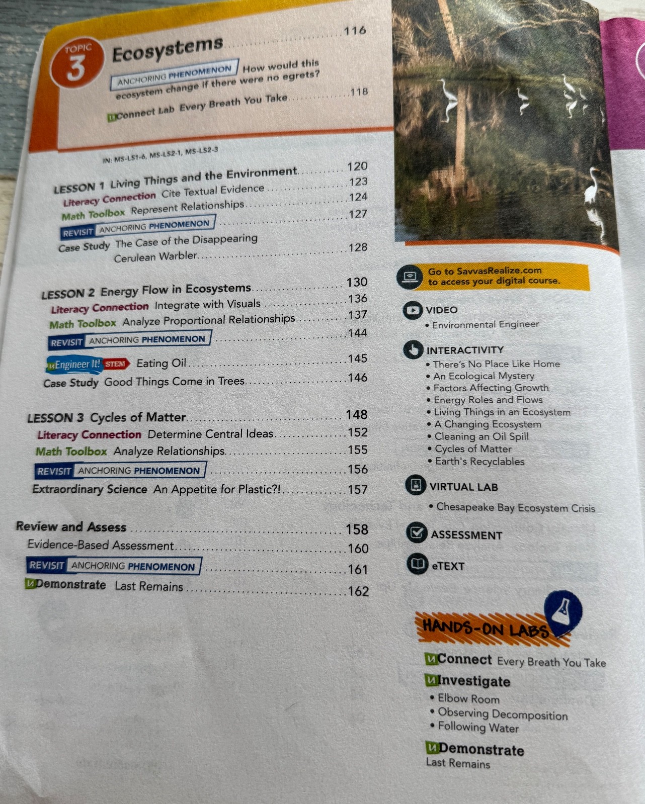 Elevate Science Student Workbook SAVVAS Learning GRADE 6 HomeSchooling 2024 ed.