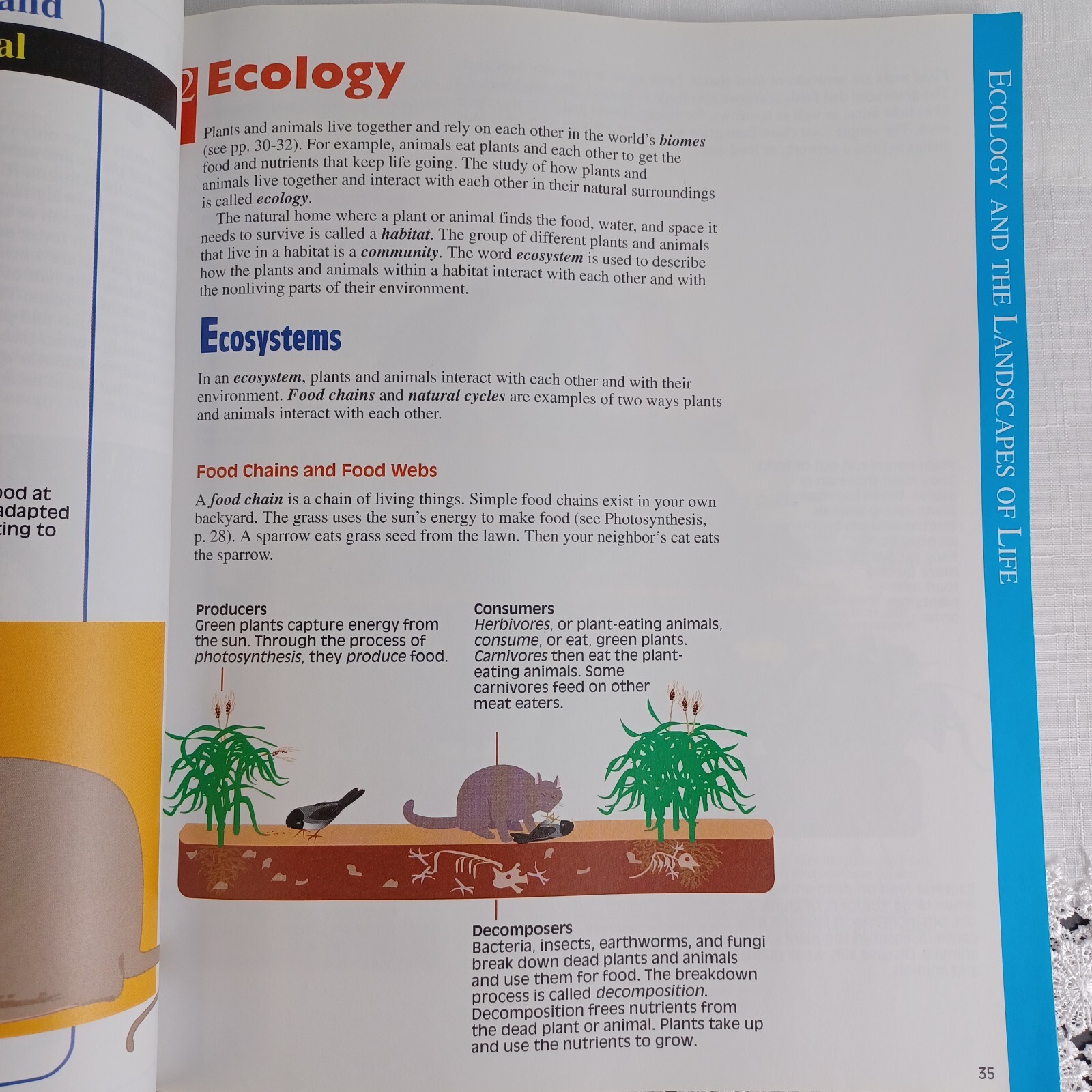 Homework Reference Ser.: Everything You Need to Know about Science Homework…