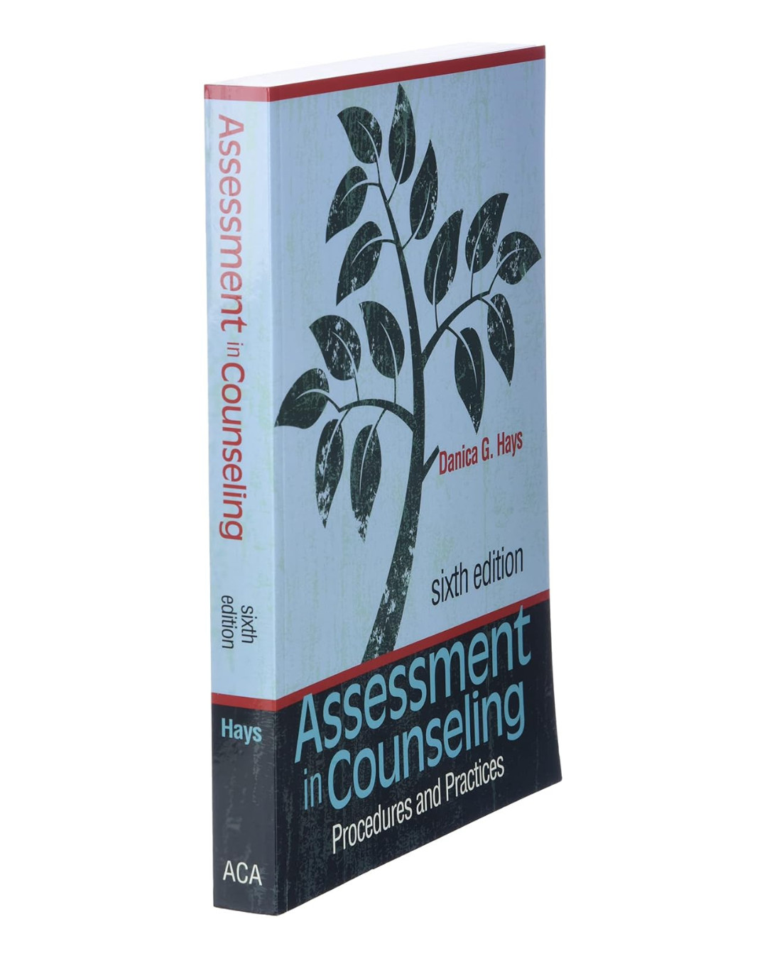 Assessment in Counseling: Procedures and Practices