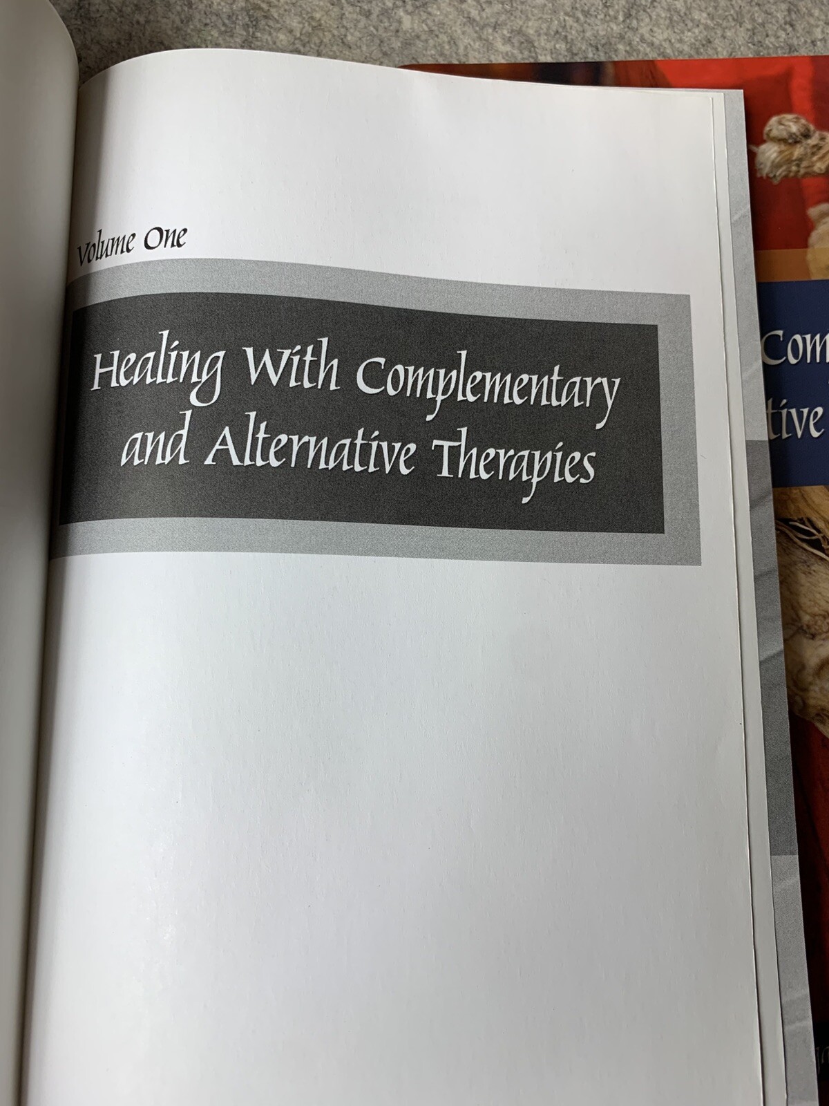 Healing with Complementary & Alternative Therapies Vols 1 & 2 Paperback By Lynn