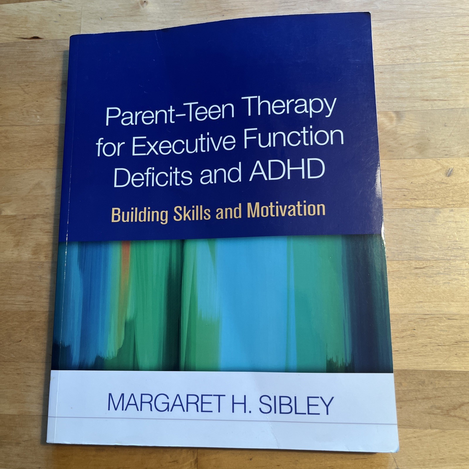 Parent-Teen Therapy for Executive Function Deficits and ADHD : Building Skill &