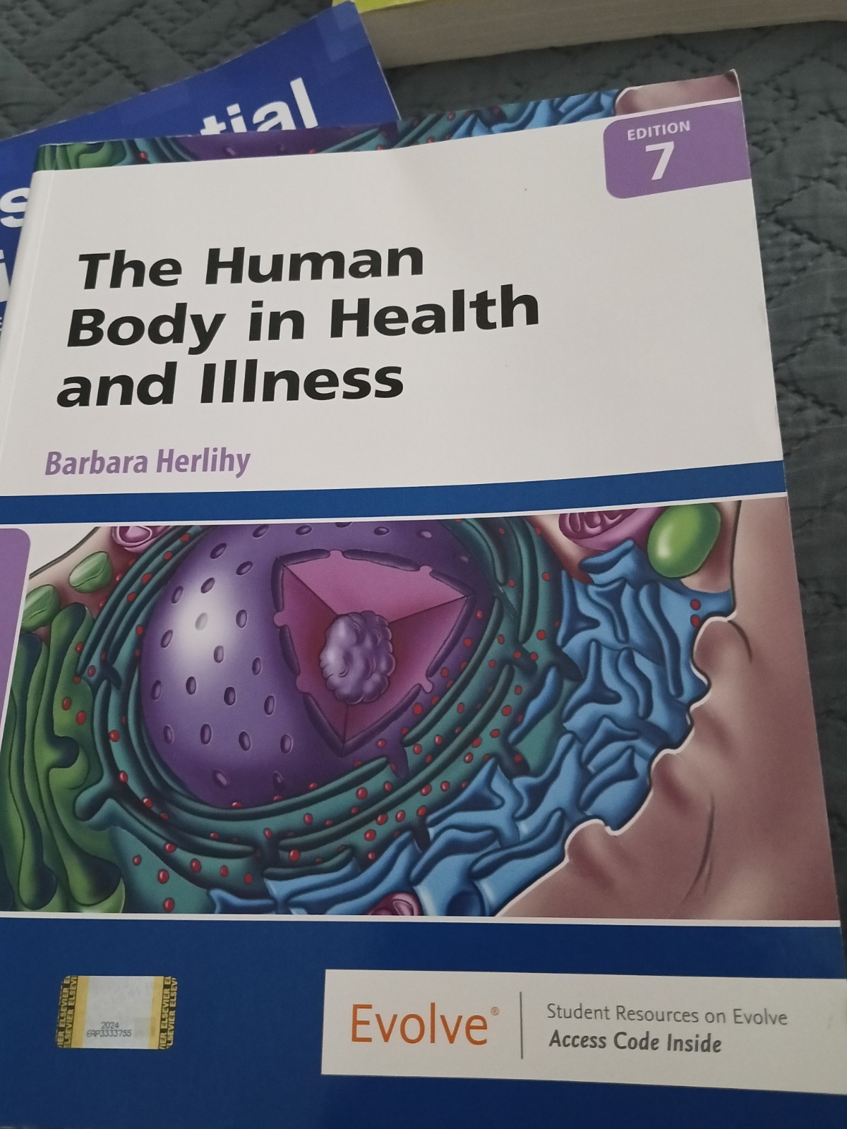 Human Body in Health and Illness by Barbara Herlihy (2021, Trade Paperback)