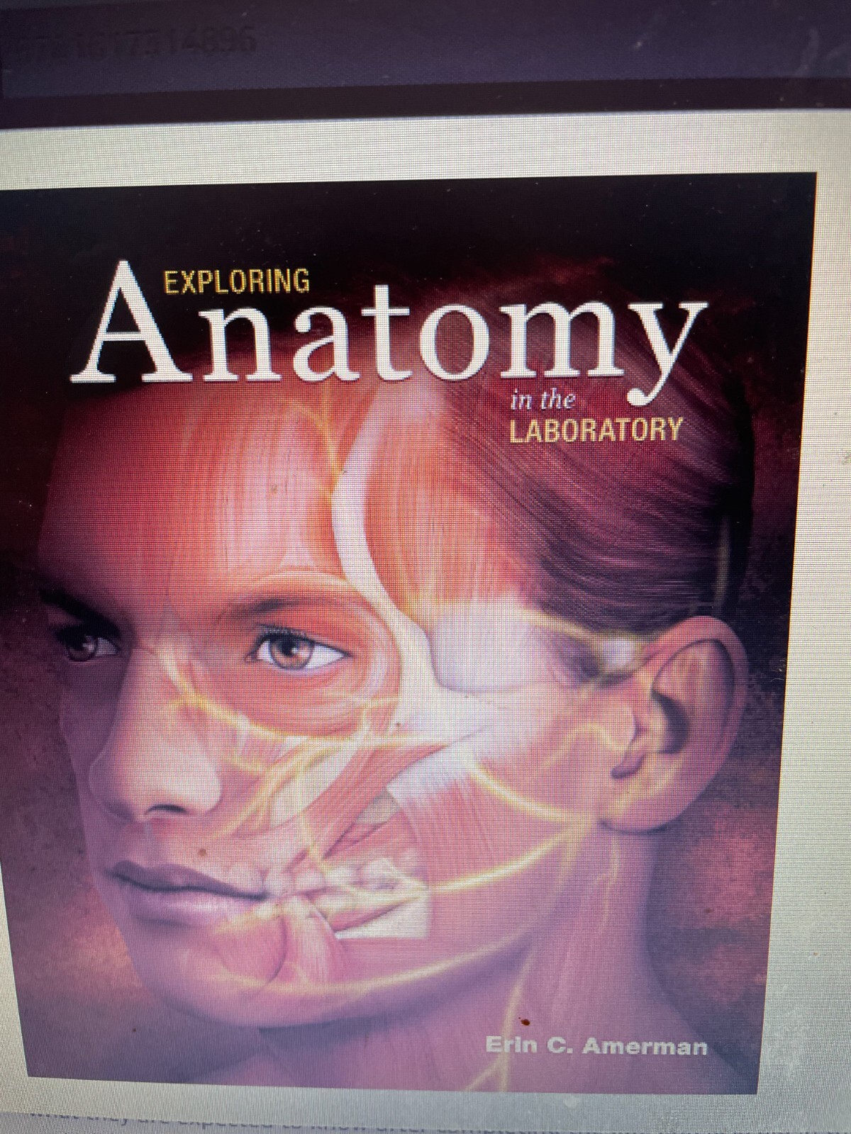 Exploring Anatomy in the Laboratory 1st Edition by Erin C. Amerman (Author)