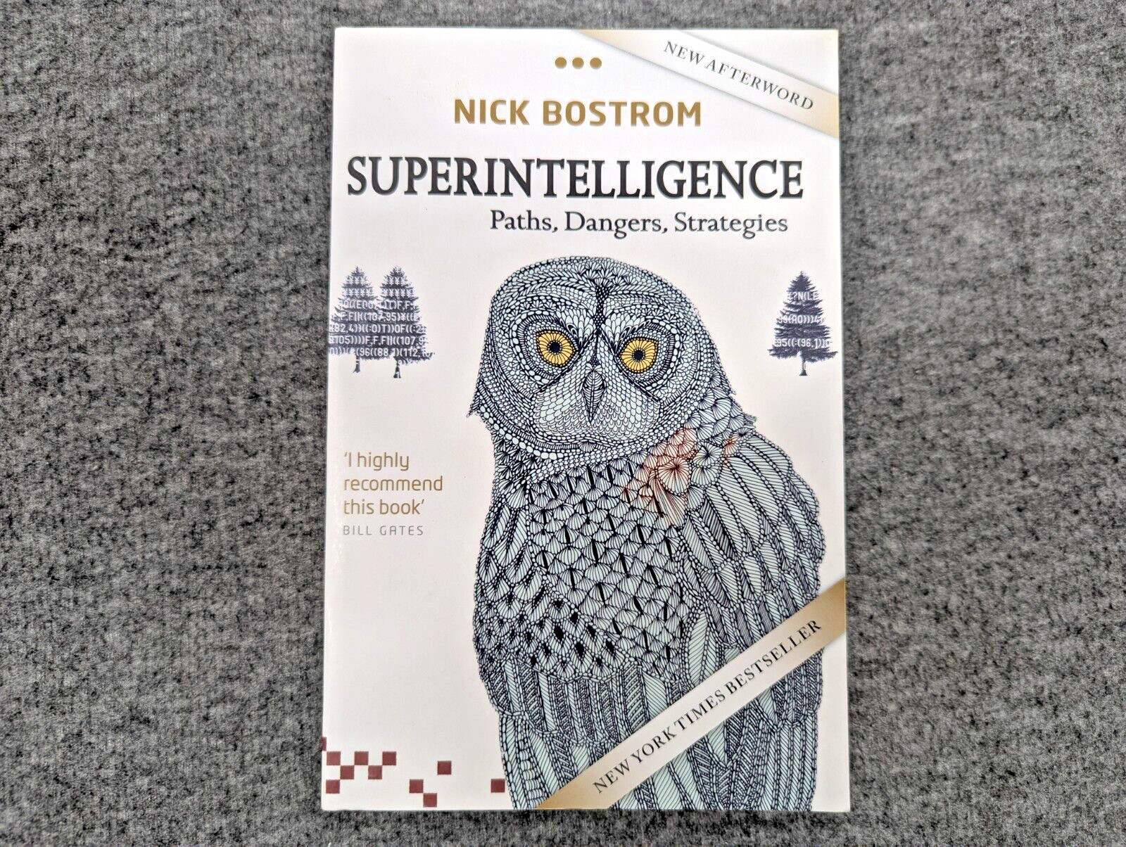 Superintelligence : Paths, Dangers, Strategies by Nick Bostrom (2017, Trade…