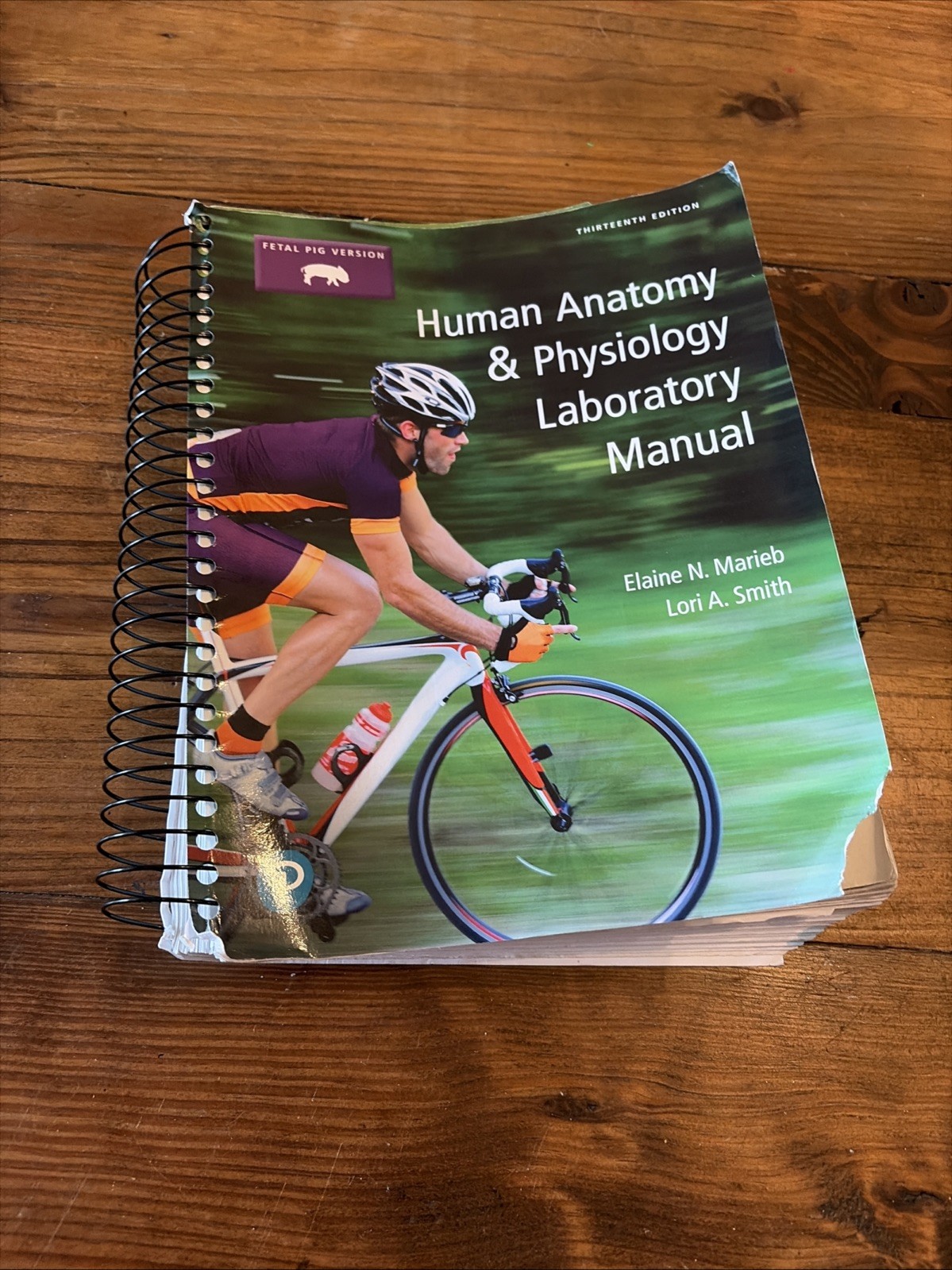 Human Anatomy & – Spiral-bound, by Marieb Elaine; Smith Lab Manual Fetal Pig