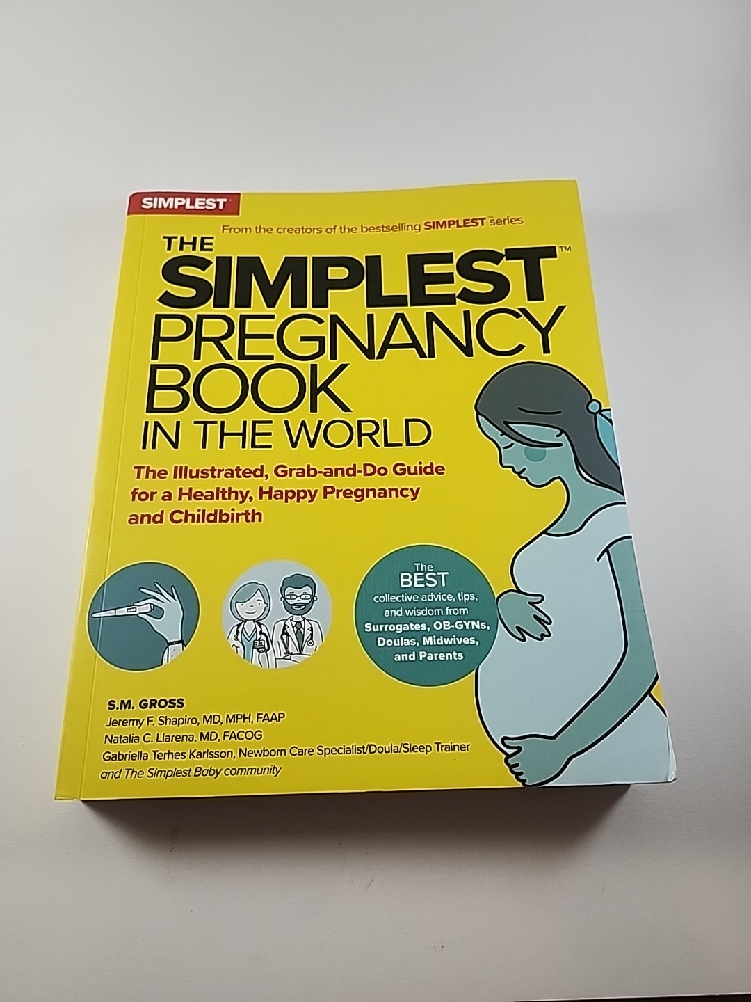 Simplest Pregnancy Book in the World : The Illustrated, Grab-And-Do Guide for a