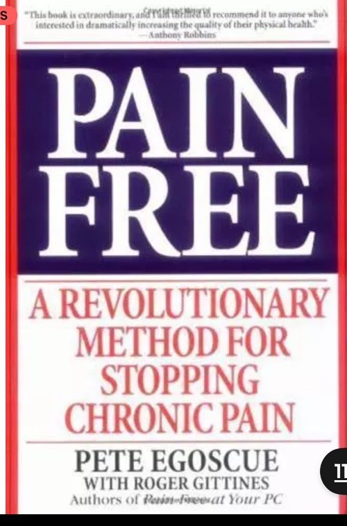 Pain Free: A Revolutionary Method for Stopping Chronic Pain
